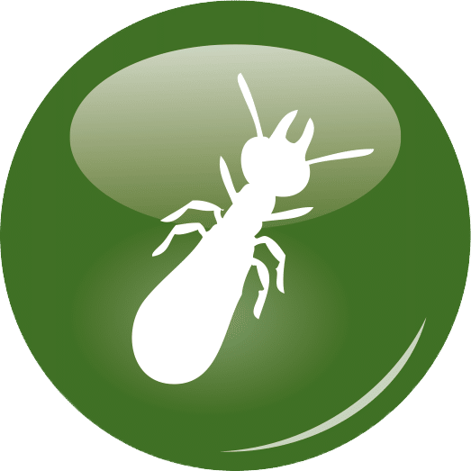 logo termites
